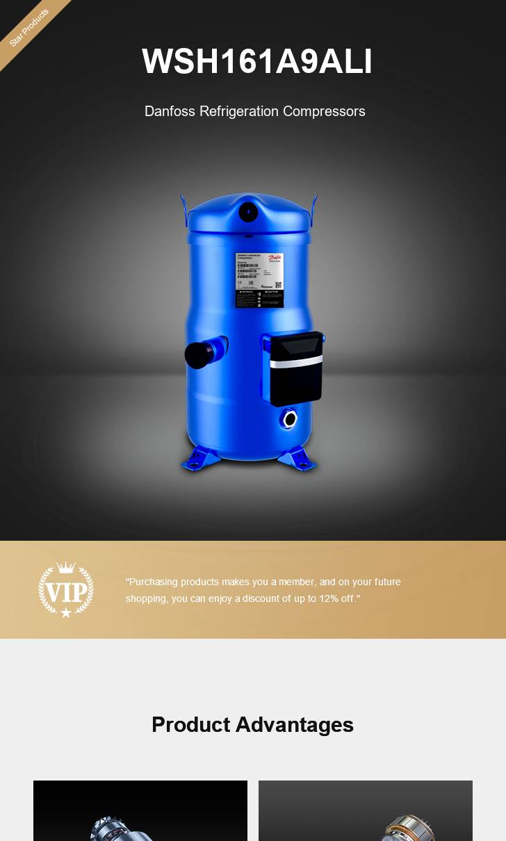 Danfoss Compressor WSH161A9ALI, technical parameters pdf, structure diagram